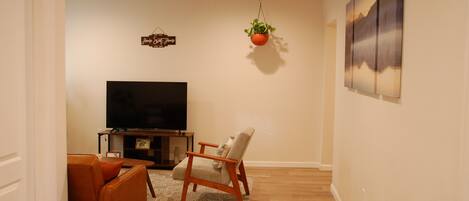 A living room with a flat-screen TV, a sofa, a chair, a rug, and a hanging plant.
