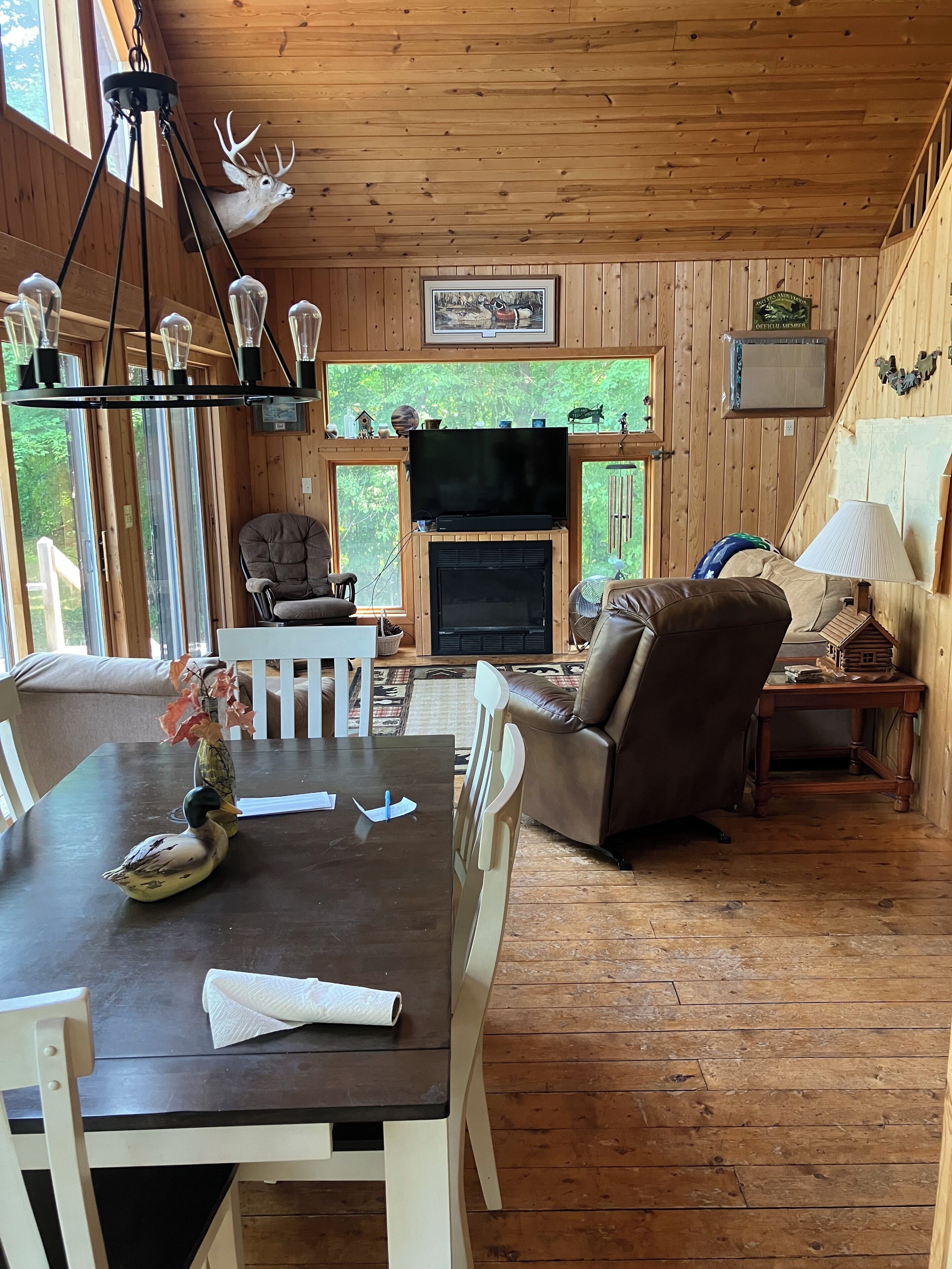 TV connectée, cheminée