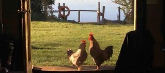 Lakeshore ; main level of house