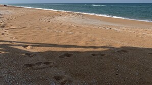 Ein Strand mit Fußabdrücken, die zum Wasser führen, ein klarer Himmel und eine ruhige See.