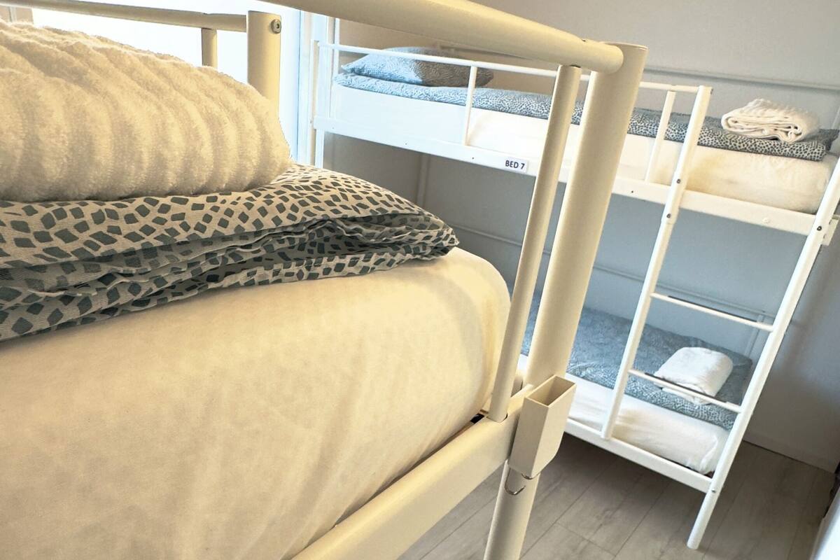 A bunk bed room with a ladder, a window, and a bed with patterned bedding.