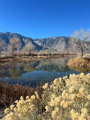 A clear view of a mountain range, a calm lake, and sparse vegetation.