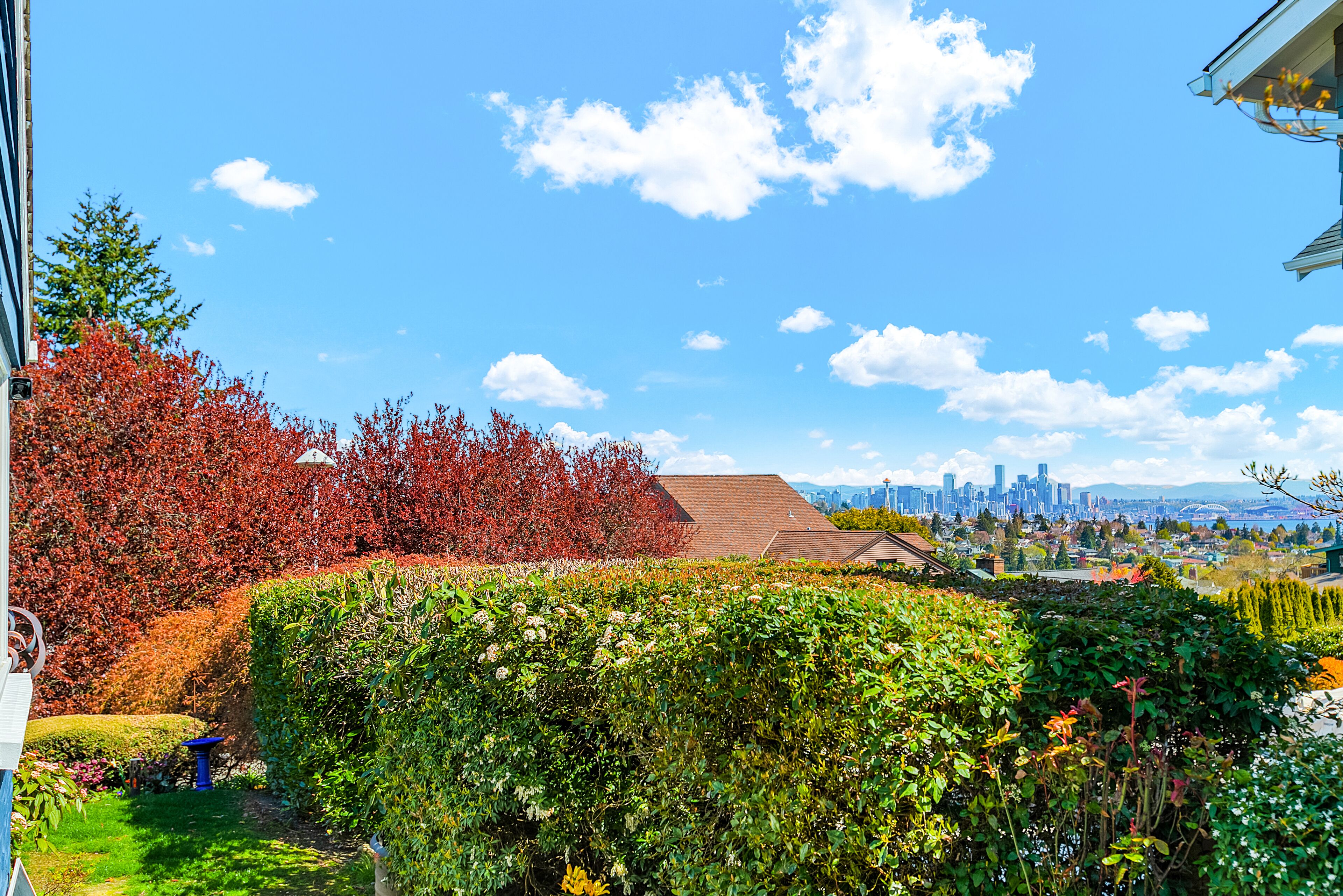 A residential area with a well-maintained garden, a view of a city skyline, and a clear blue sky.
