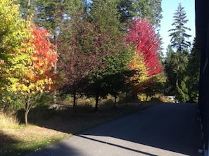 Property grounds - New Horizon Motel (Christina Lake)