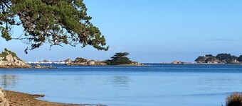 Les Palmiers D'armor