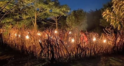 Mabamba Lodge