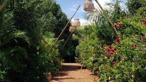 Un sendero de jardín con cestas colgantes y abundante vegetación.