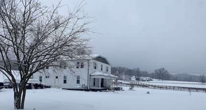 Gorgeous Farmhouse with game room media room on 10 acres with a spring fed Creek