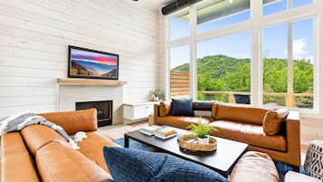 Smart TV, fireplace, books, stereo