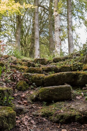 Property grounds - Former presbytery just renovated, 3 stars (Bénarville)