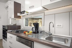 Fridge, oven, stovetop, dishwasher