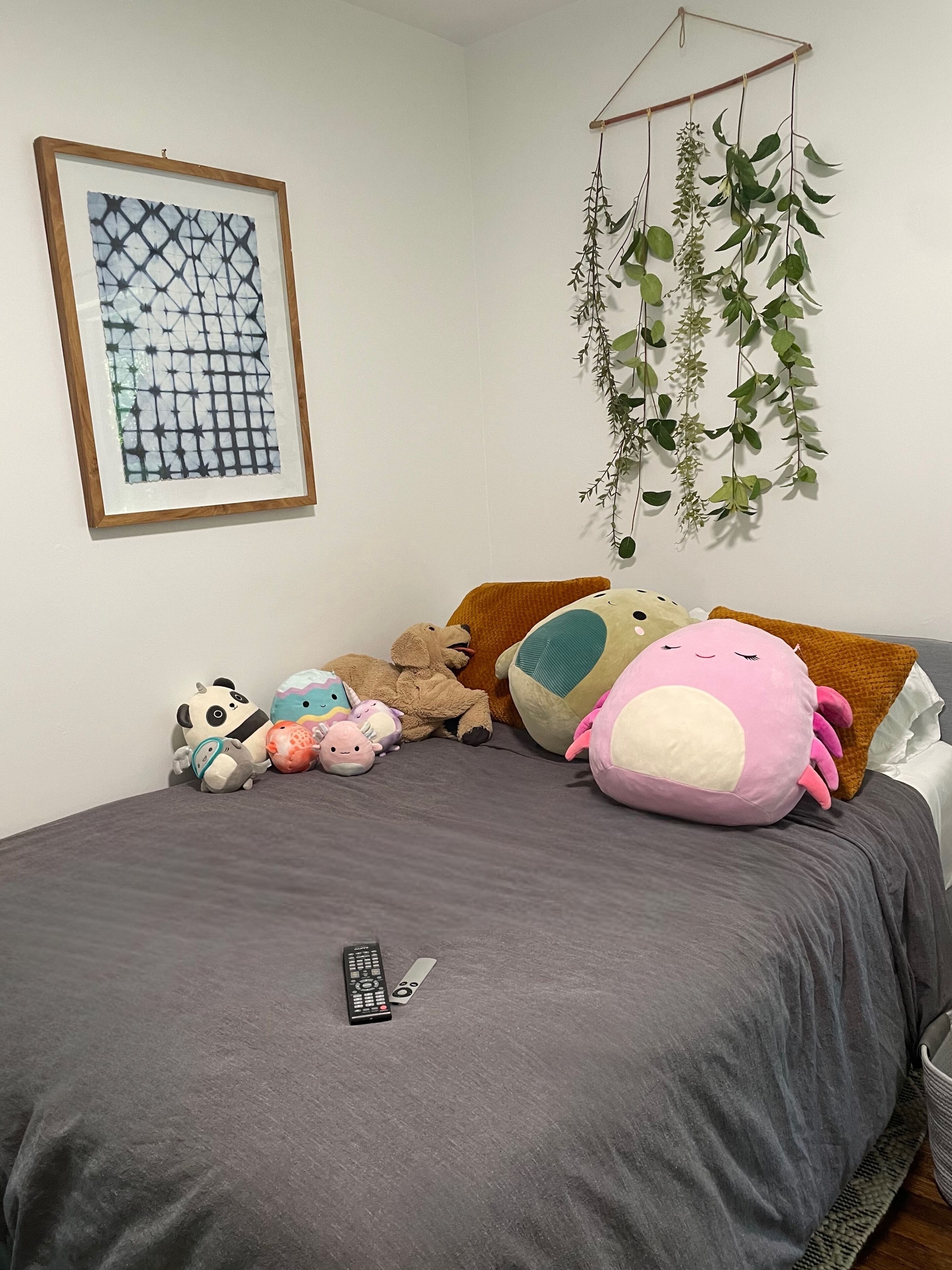 Beautiful modern home minutes from the city, hiking, shopping, and entertainment