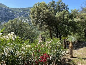 Property grounds - Maison de Campagne Avec Piscine (Pégairolles-de-Buèges)