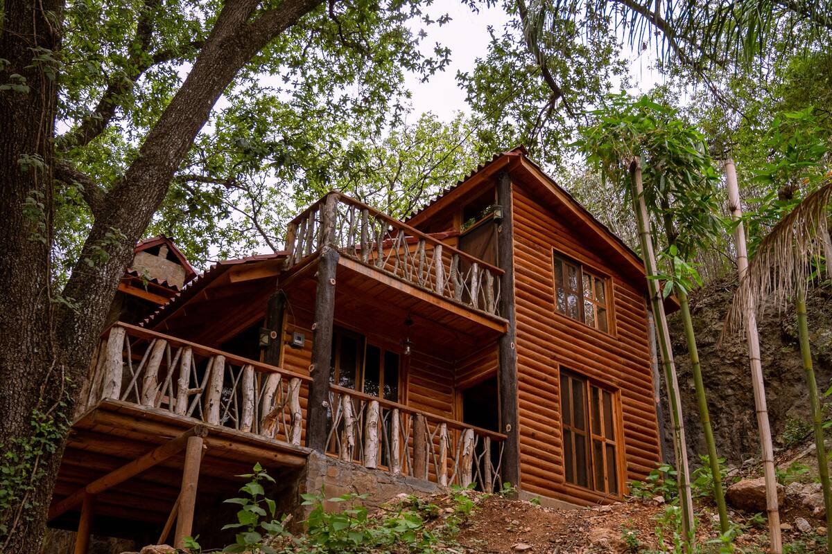 Deluxe Cabin | Terrace/patio