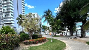 Zona residencial con un camino, vegetación y un edificio alto al fondo.