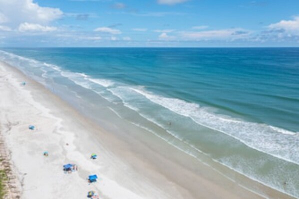 Sun-loungers, beach towels - BOAT DOCK SPOT DOLPHIN/FISH Deals-Cozy house 3/2 , 5 mins to New Smyrna Beach.. (Edgewater)