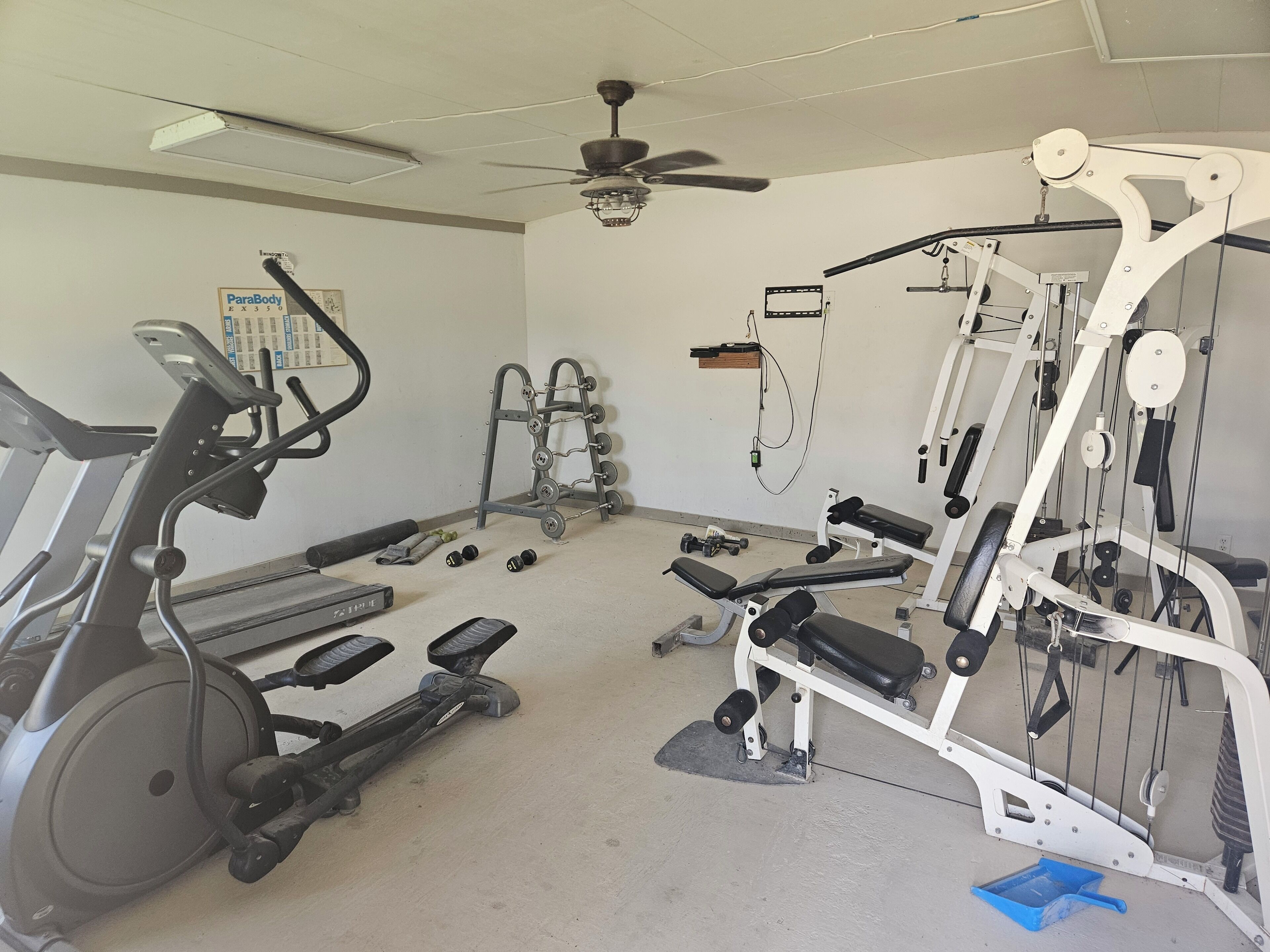 Gimnasio