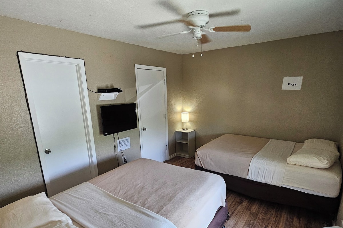 A hotel room with two beds, a ceiling fan, a TV, and a small table with a lamp.