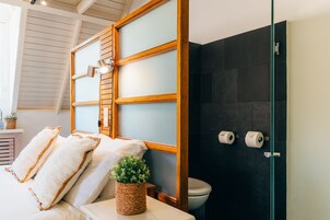 Ducha, cabezal de ducha tipo lluvia, secador de pelo, toallas