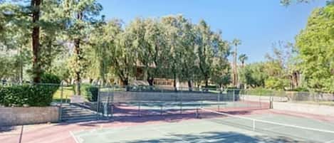 Sport court