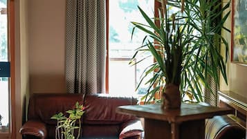 A cozy living room with a leather sofa, a wooden coffee table, and a large potted plant.
