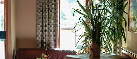 A cozy living room with a leather sofa, a wooden coffee table, and a large potted plant.
