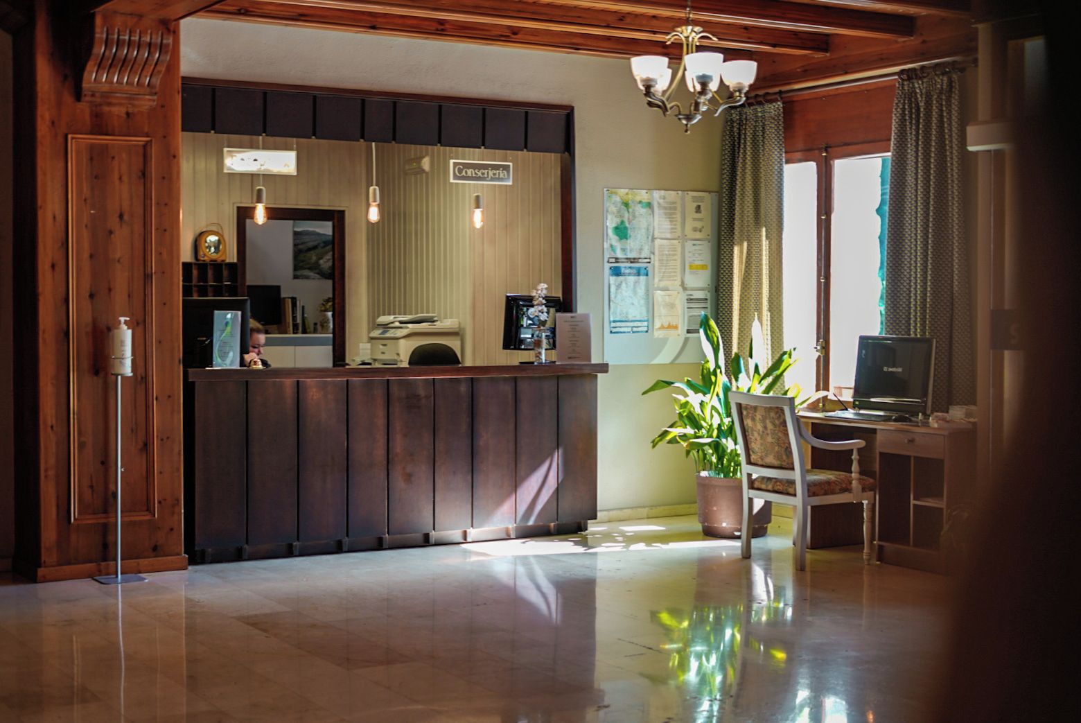 Una zona de recepción con un mostrador de madera, una computadora, una silla y una planta en maceta.