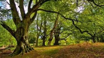 Parco della struttura