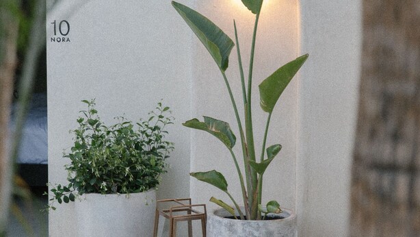 A small, cozy outdoor seating area with a wooden chair and a small table, surrounded by potted plants and a stone planter. - Yara Hotel (Palm Springs)