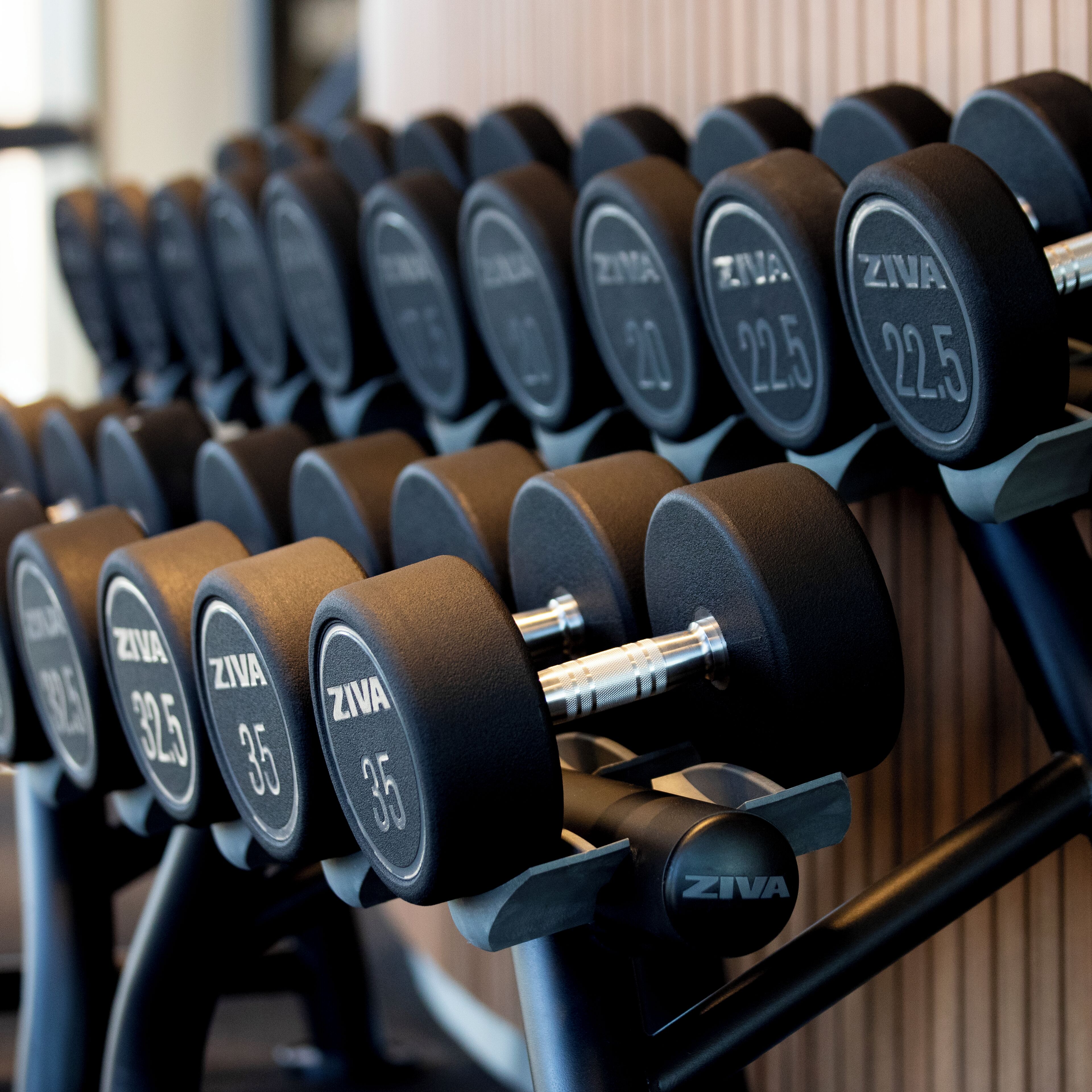 A rack of Ziva brand dumbbells in various weights.
