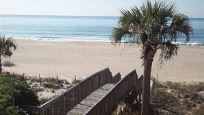 Ein Strand mit einer Holzpromenade, die zum Ufer führt, Palmen und dem Meer.