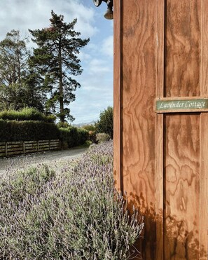 Free WiFi - Havelock North Holiday Park (Havelock North)