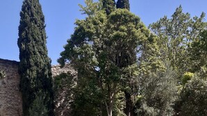 Una piscina con un muro de piedra y árboles al fondo.