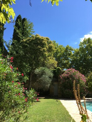Property grounds - Large Mansion with Swimming Pool in a Pretty Village (Aigues-Vives)