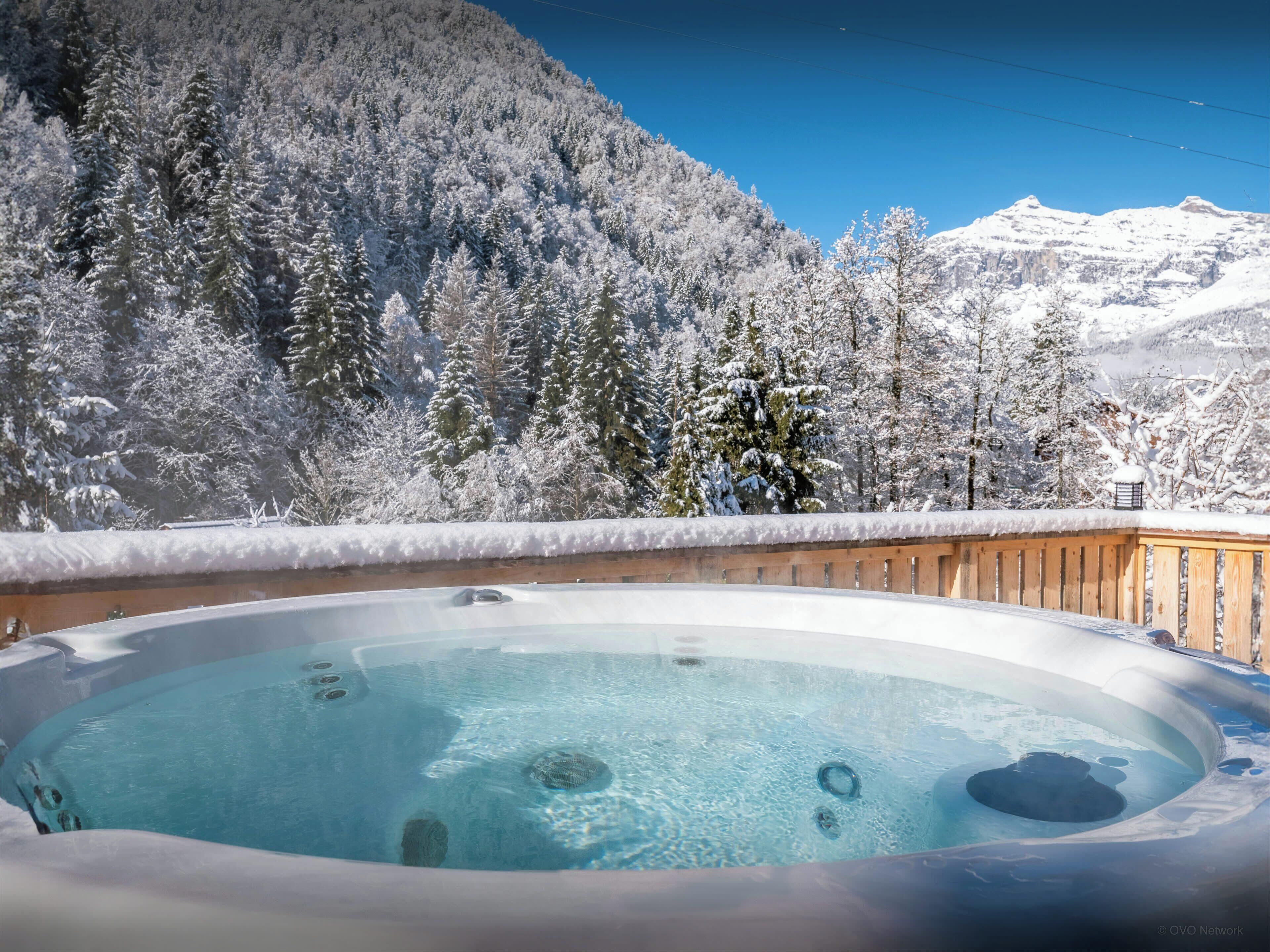 Un bain à remous entouré d’arbres et de montagnes couverts de neige.