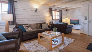 Tv, pejs, videospil