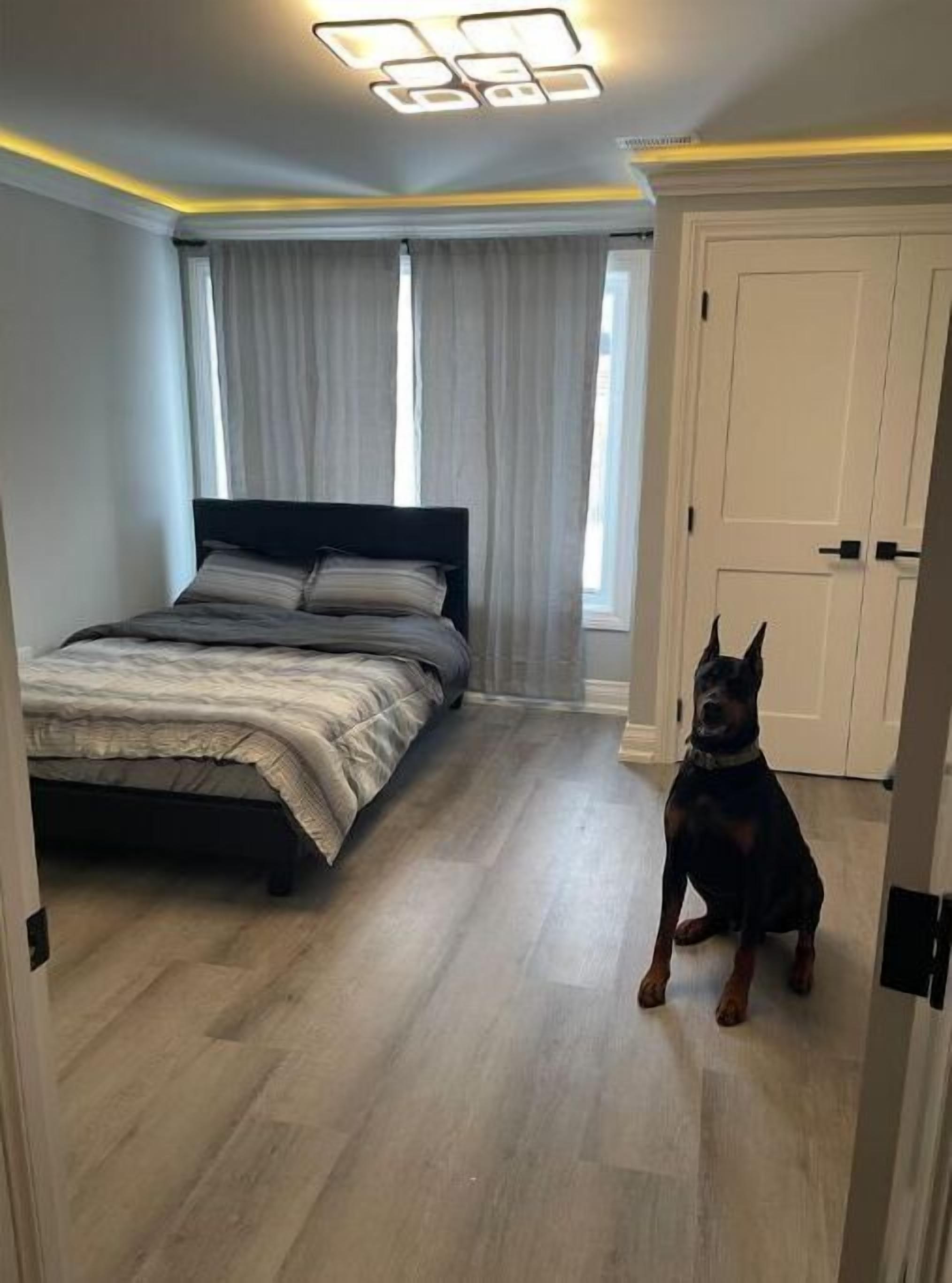 A Little gem in North Oshawa