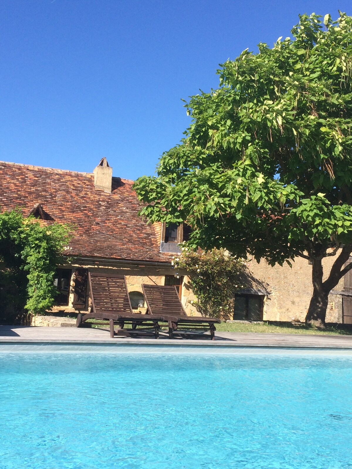 Image de profil de l’hôte