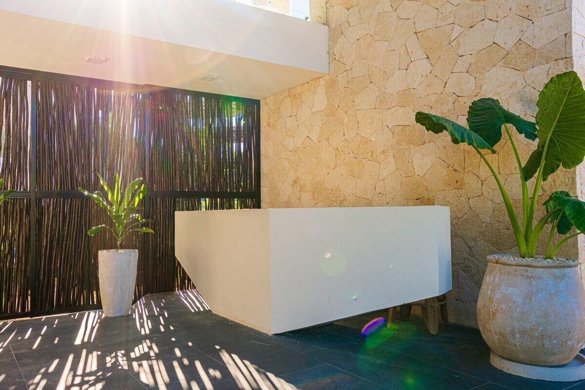 Un área de recepción con un mostrador moderno, una pared de piedra y plantas en macetas.