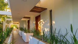 A modern hallway with white walls, wooden accents, and planters with green plants. - Moots Tulum (Tulum)