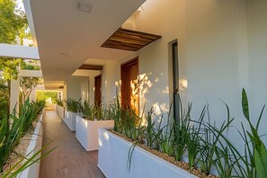 Property grounds - Moots Tulum (Tulum)