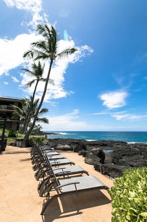 Property grounds - Hale He'e - Octocondo at Alii Drive (Kailua-Kona)