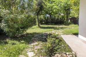 Ein gepflasterter Weg führt durch einen Garten mit verschiedenen Pflanzen und Bäumen.