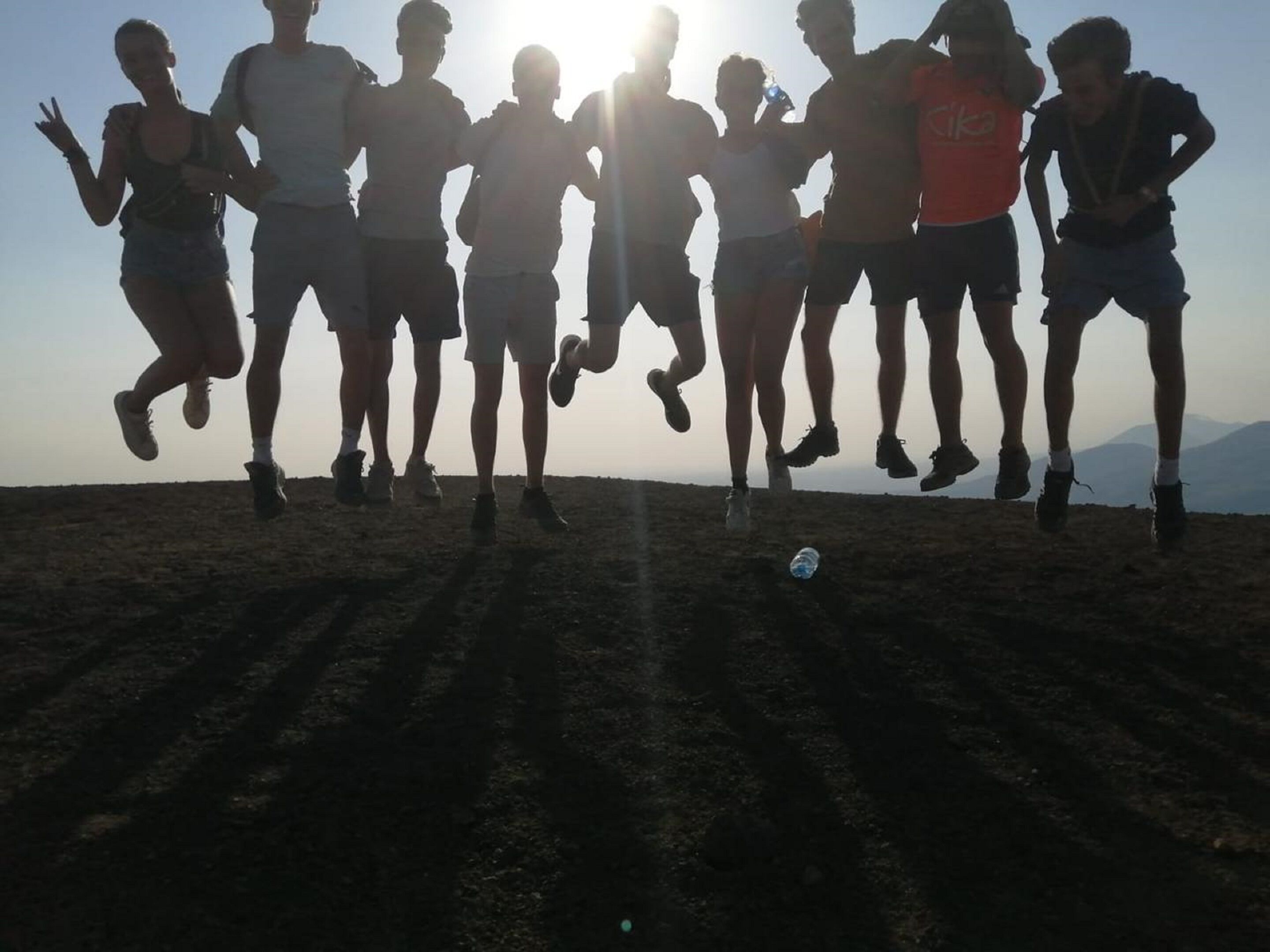 A group of people jumping in a field with a clear sky and mountains in the background.