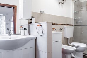 Ducha, secador de pelo, bidé y toallas