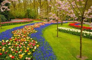 Stroll through the beautifully landscaped garden with a central pathway leading to various flower beds arranged in a symmetrical pattern.
