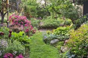 Explore the serene garden, featuring a variety of plants and flowers, along a well-maintained pathway.