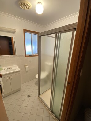 Shower, hair dryer, soap, shampoo