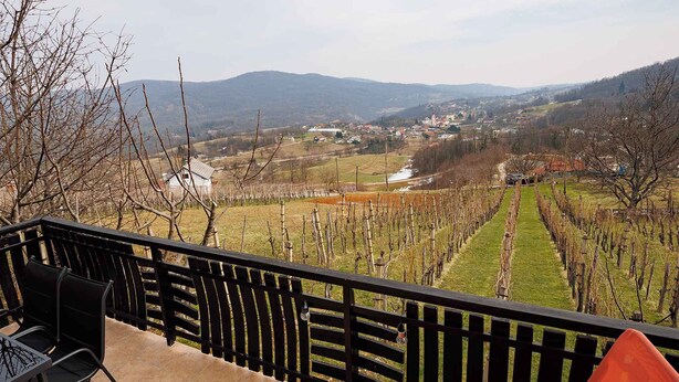 Un balcon offrant une vue sur un vignoble et sur une ville située au loin.