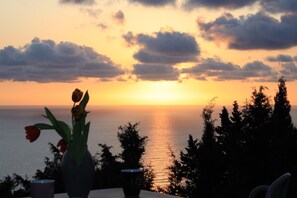 Studio, 1 chambre, balcon, vue montagne | Balcon